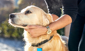 Važnost cijepljenja i zaštite pasa i mačaka